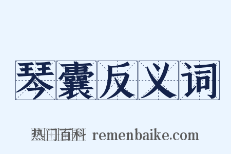 琴囊反义词是什么意思的图片